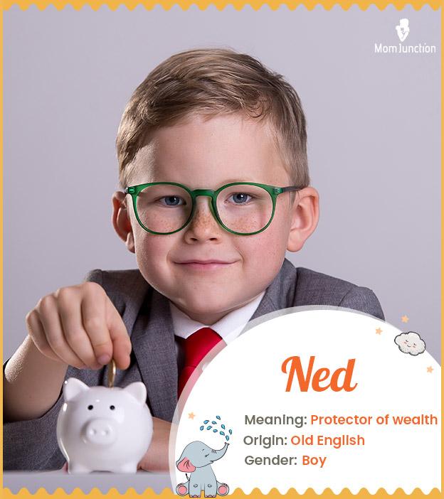Ned Name Meaning, Origin, History, And Popularity