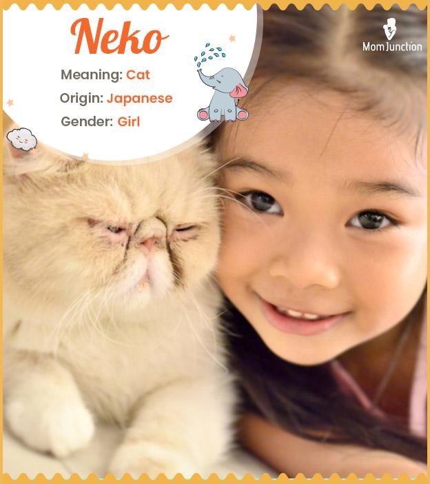 neko