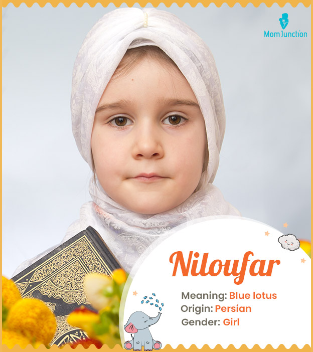 Niloufar means blue lotus or water lily