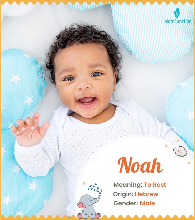 Noah, a sweet Hebrew name Noah, a sweet Hebrew name