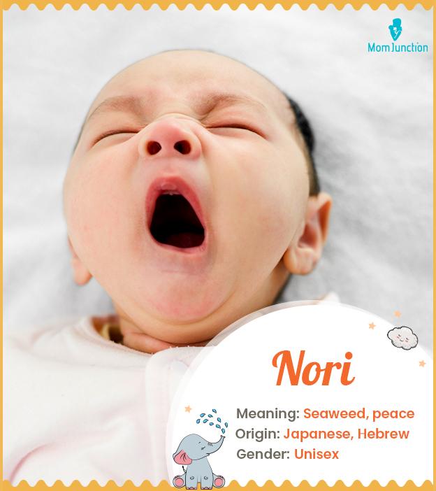 Nori Name Meaning, Origin, History, And Popularity