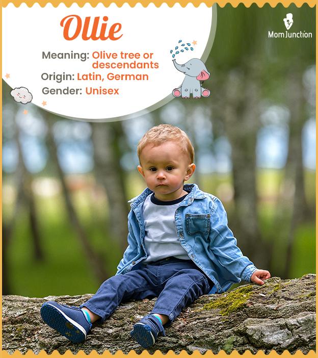 Ollie Name Meaning, Origin, History, And Popularity