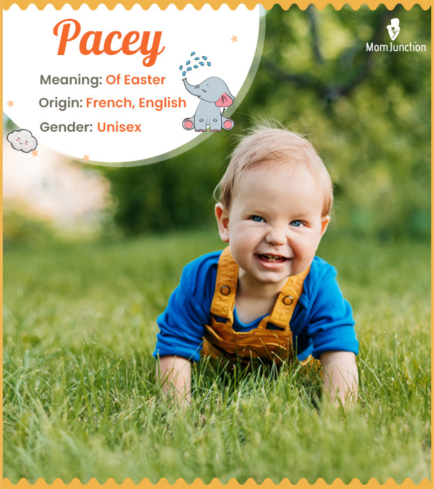 Pacey is a derivative of an English surname.