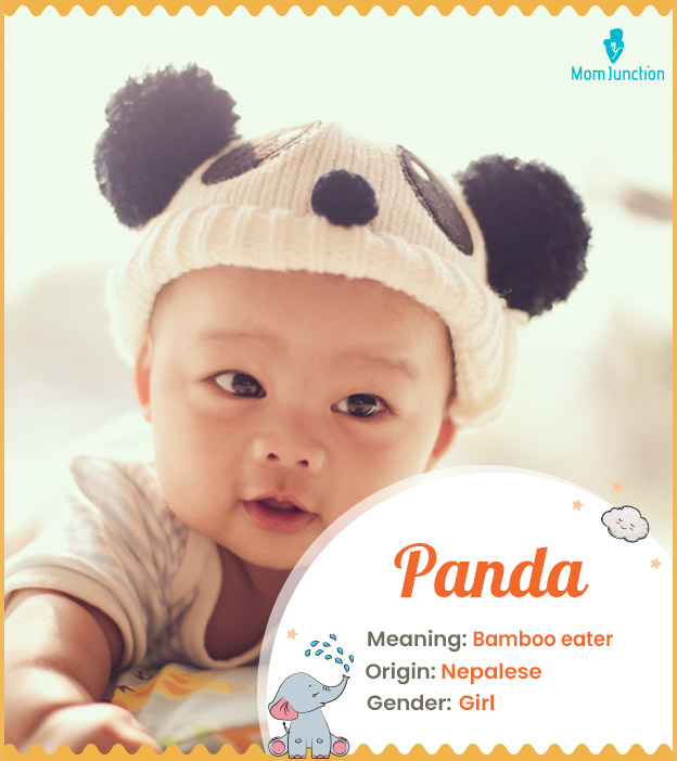Panda, a Nepalese name for girls with a rich fictional presence.