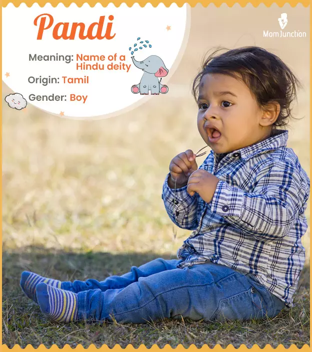 Baby Pandi Baby White Baby Pandi Baby White