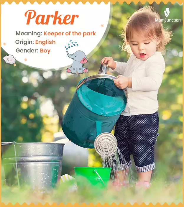 Parker Name Meaning, Origin, History, And Popularity