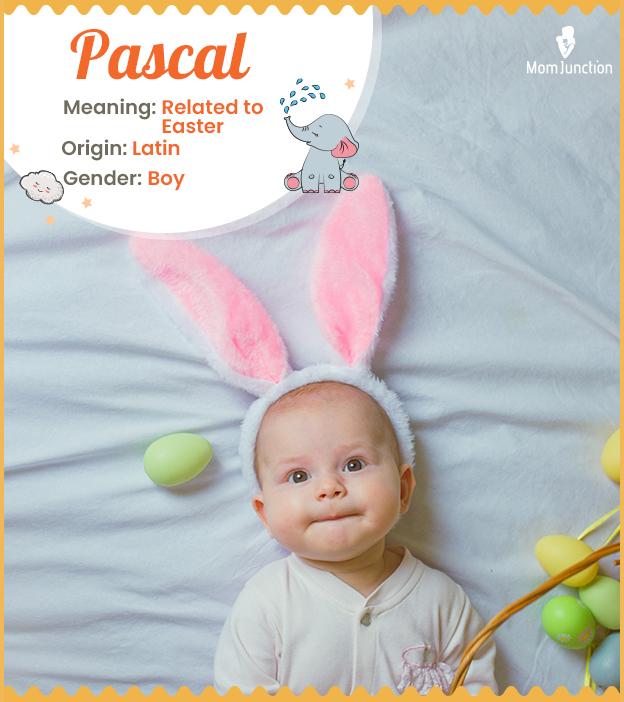 Pascal Name Meaning, Origin, History, And Popularity