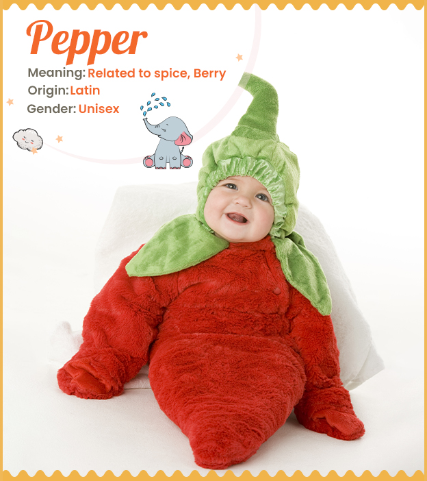Pepper is related to spice