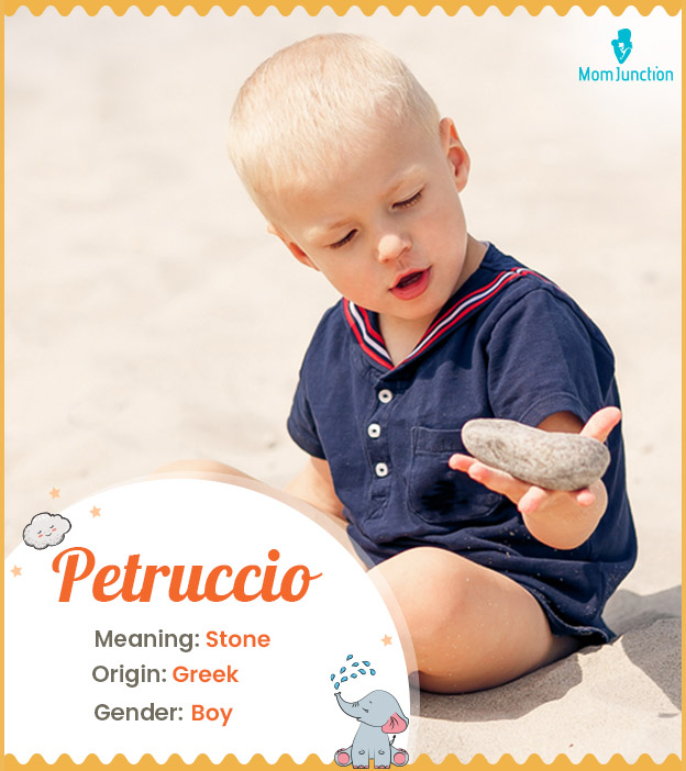 Petruccio means stone