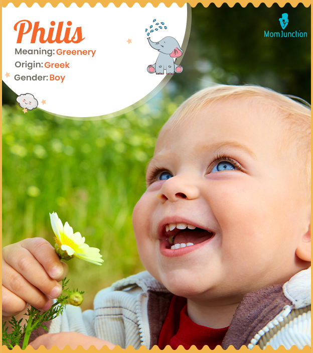 Philis means greenery