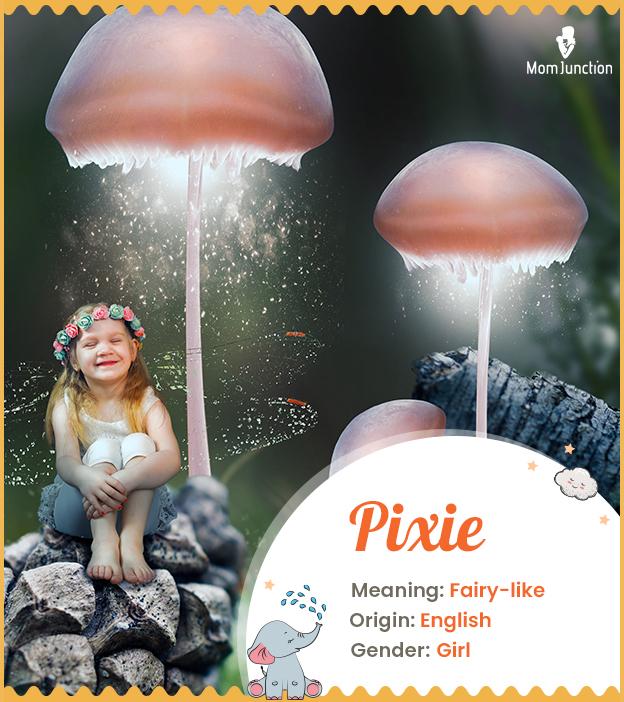 Pixie Name Meaning, Origin, History, And Popularity MomJunction