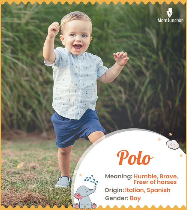 Polo, a masculine name