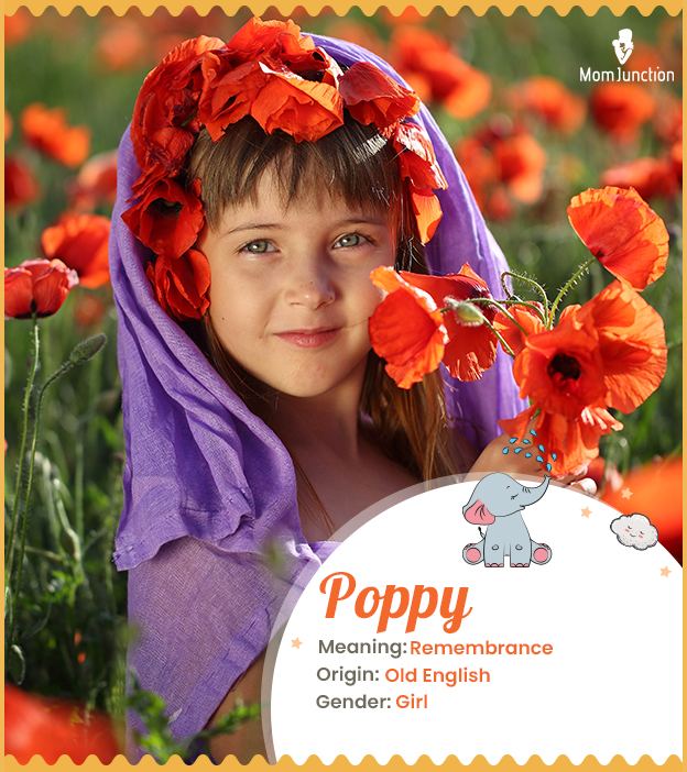 Poppy, a lovely name