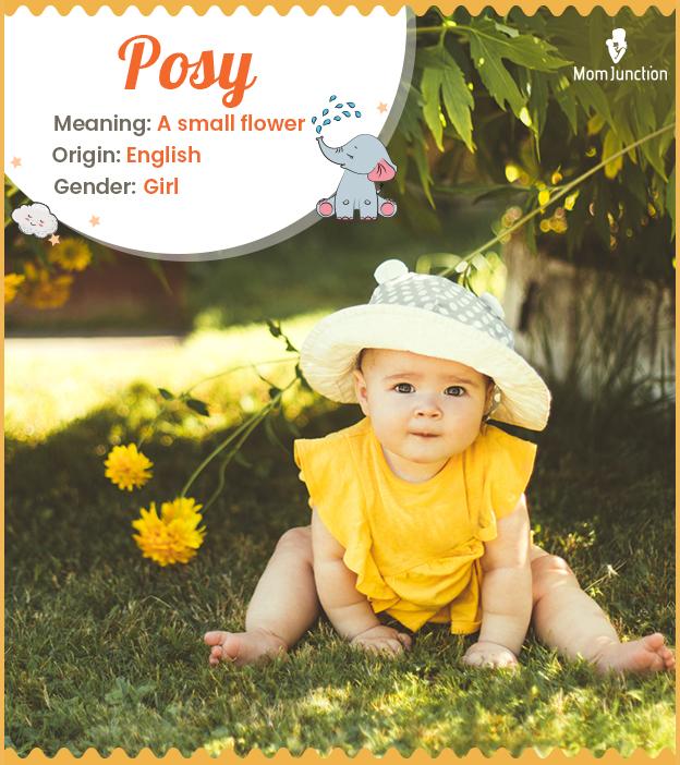 Posy Name Meaning, Origin, History, and Popularity