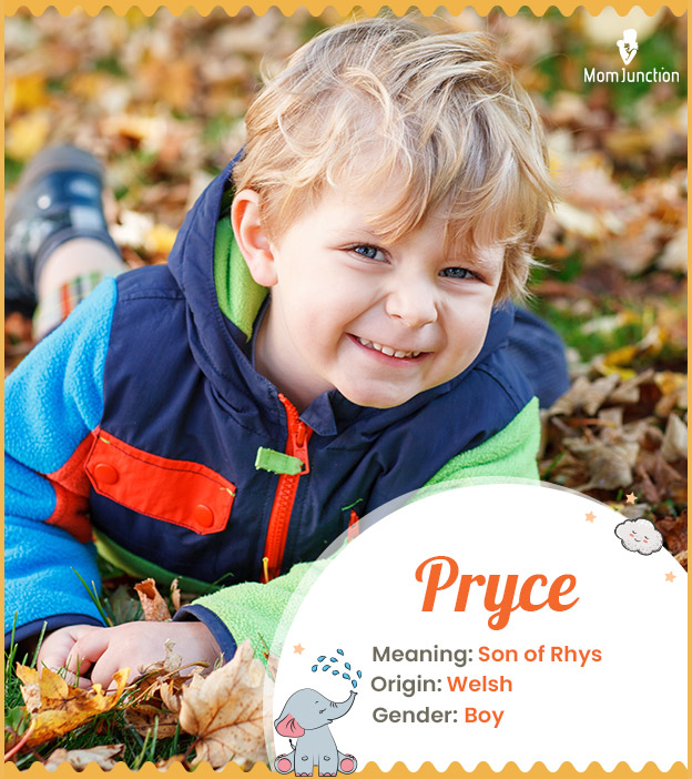 Pryce, refers to the son of Rhys.