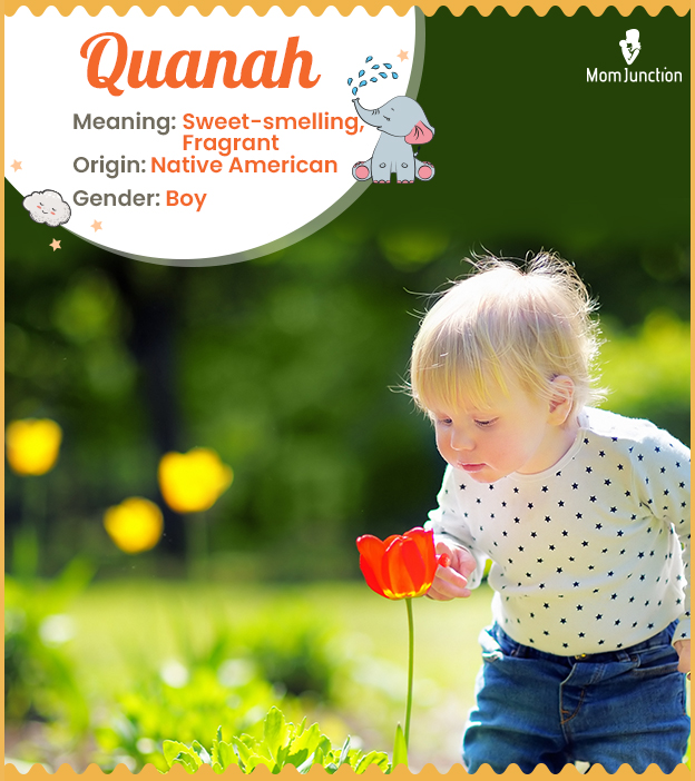Quanah, meaning fragrant