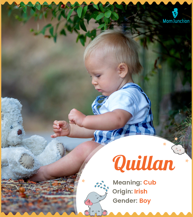 Quillan, meaning cub