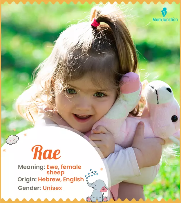 Rae Name Meaning, Origin, History, And Popularity