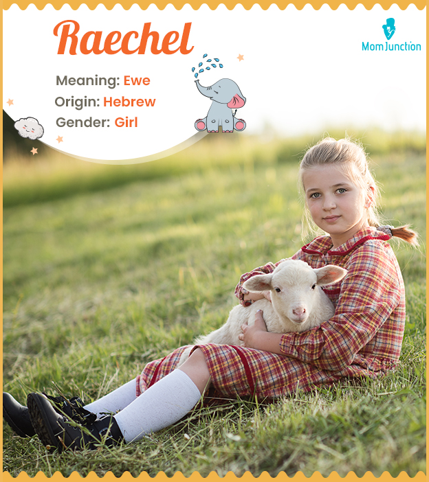 Raechel means ewe