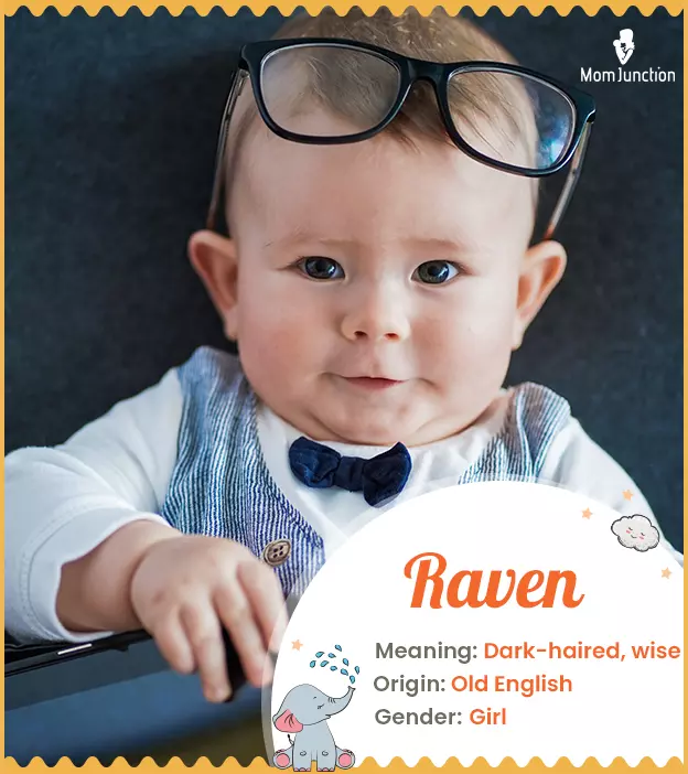 Raven Name Meaning, Origin, History, And Popularity