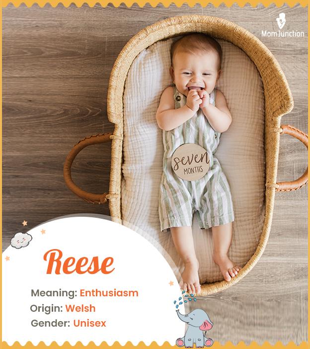 Reese Name, Meaning, Origin, History, And Popularity