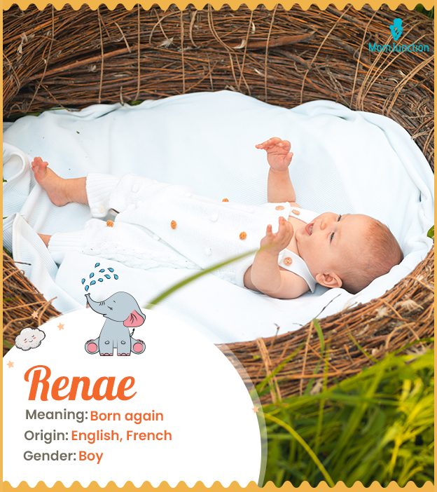 Renae, the one who believes in rebirth