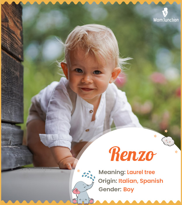 Renzo means laurel trees