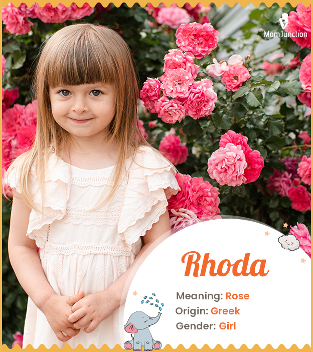 Rhoda meaning rose