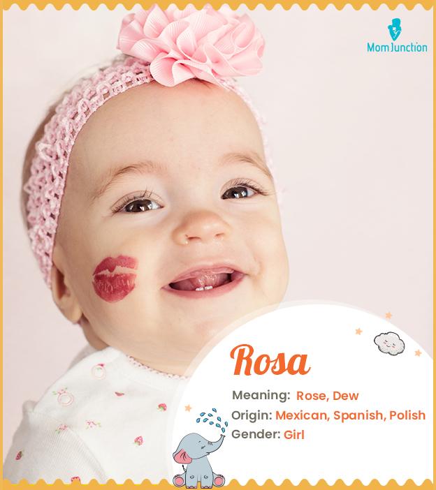 Rosa Name Meaning, Origin, History, And Popularity