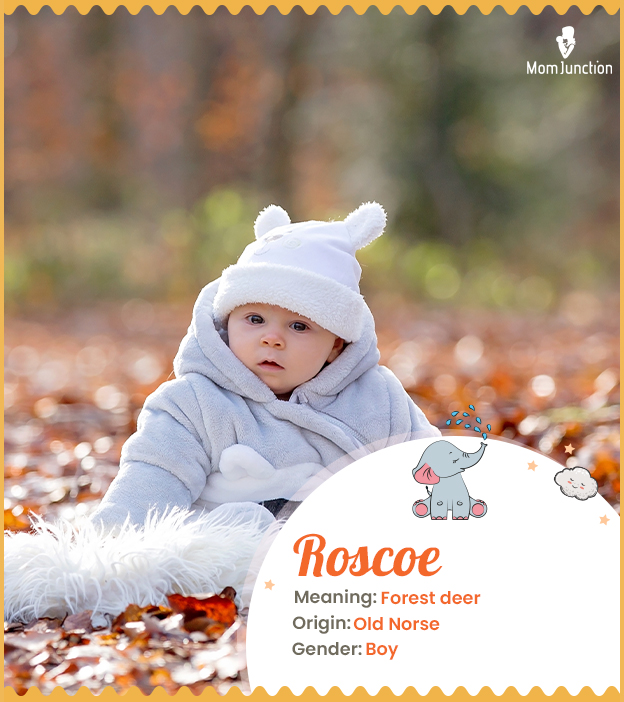 Roscoe, unique name meaning forest deer