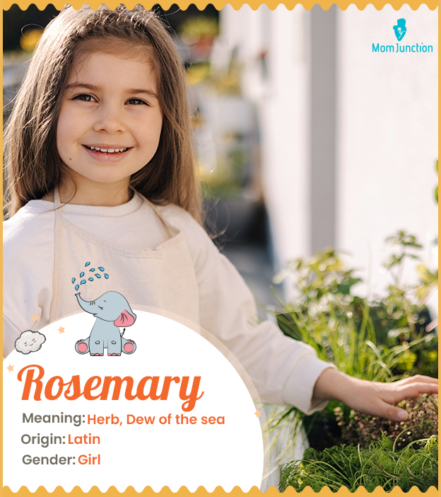 Rosemary means dew of the sea
