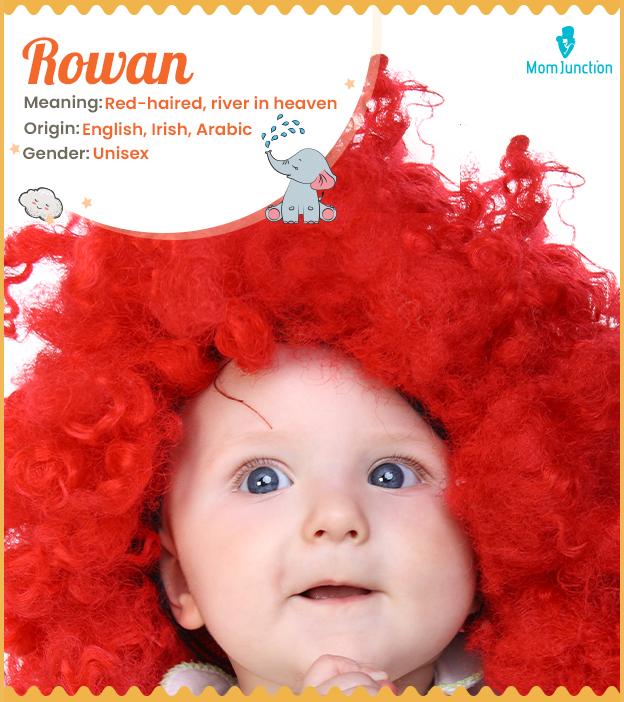 Rowan Name Meaning, Origin, History, And Popularity