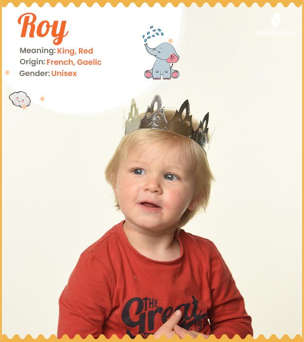 Roy Name, Origin, Meaning, History, And Popularity