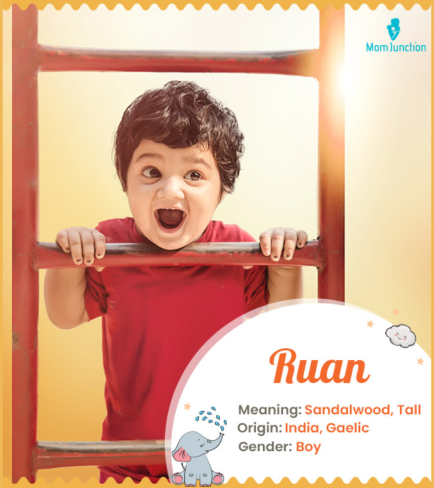 Ruan, meaning sandalwood or tall