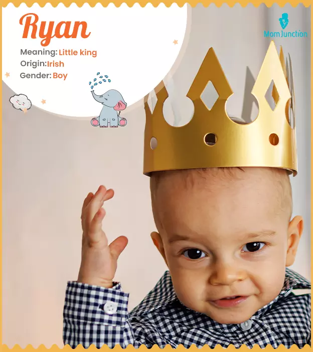 Ryan Name Meaning, Origin, History, And Popularity