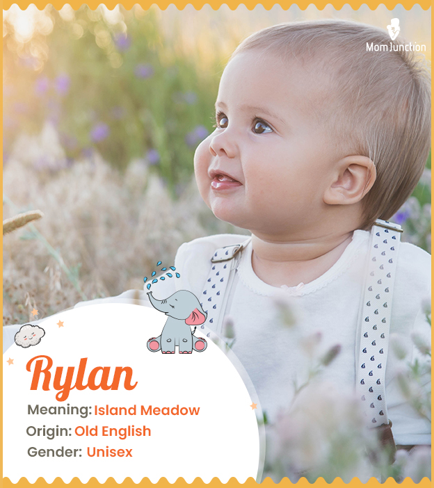 Rylan, meaning island meadow