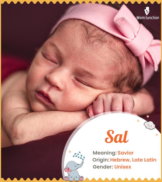 sal-name-meaning-origin-history-and-popularity