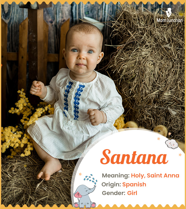 Santana, means holy, Saint Anna, or a saintly man.