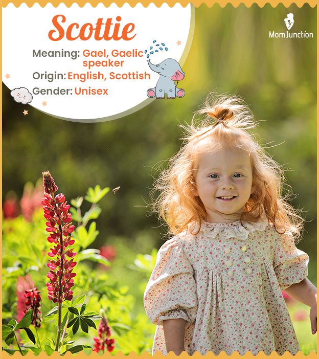 Scottie, one who is Scottish