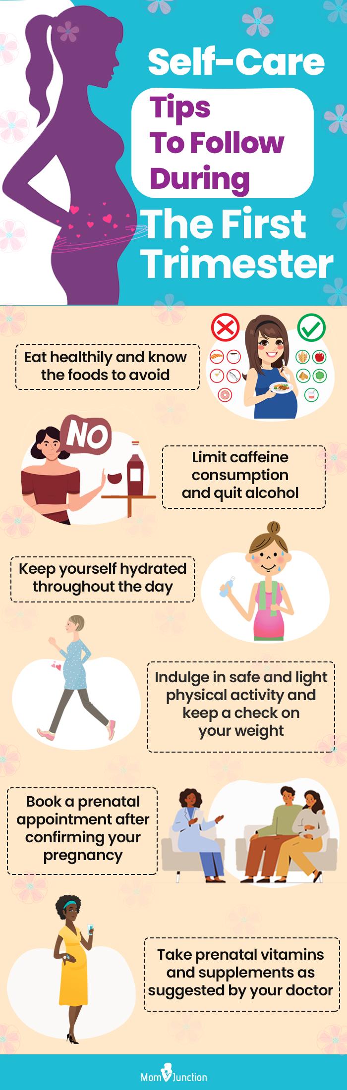 Stages Of Pregnancy Trimesters stages-of-pregnancy-trimesters