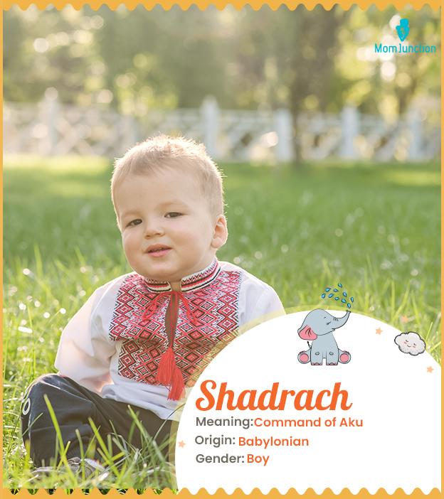 Shadrach Name Meaning, Origin, History, And Popularity