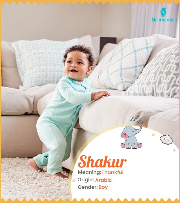 Shakur, one who is t