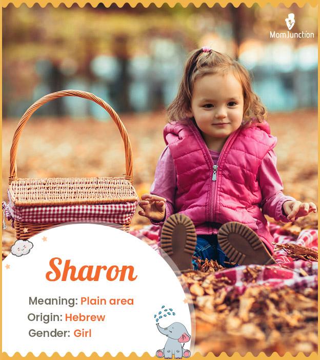 Sharon, meaning a pl