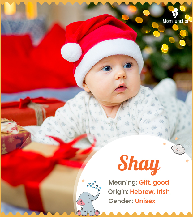 Shay meaning gift