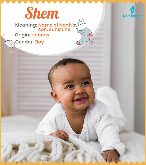 Shem Meaning, History, Origin And Popularity