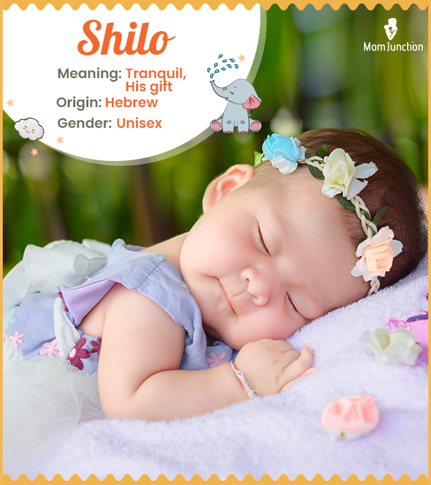 Shilo, the one who keeps everything at peace