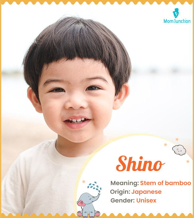 Shino, meaning Stem of Bamboo or Bamboo grass