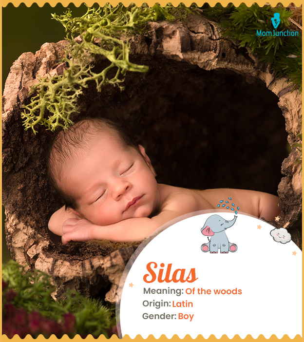 Silas, a name symbolizing strength