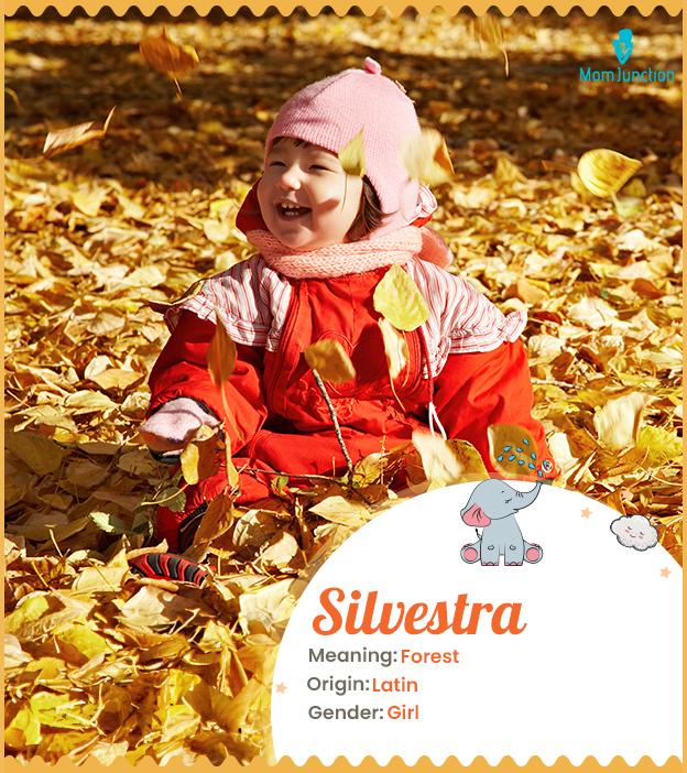 Silvestra means fore