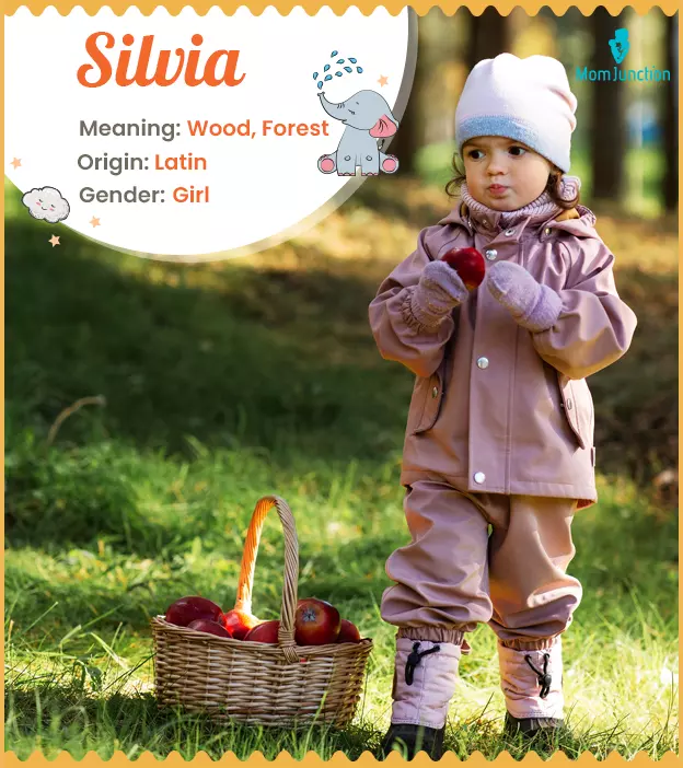 Explore Silvia: Complete Guide To Origin, Meaning, And Variations